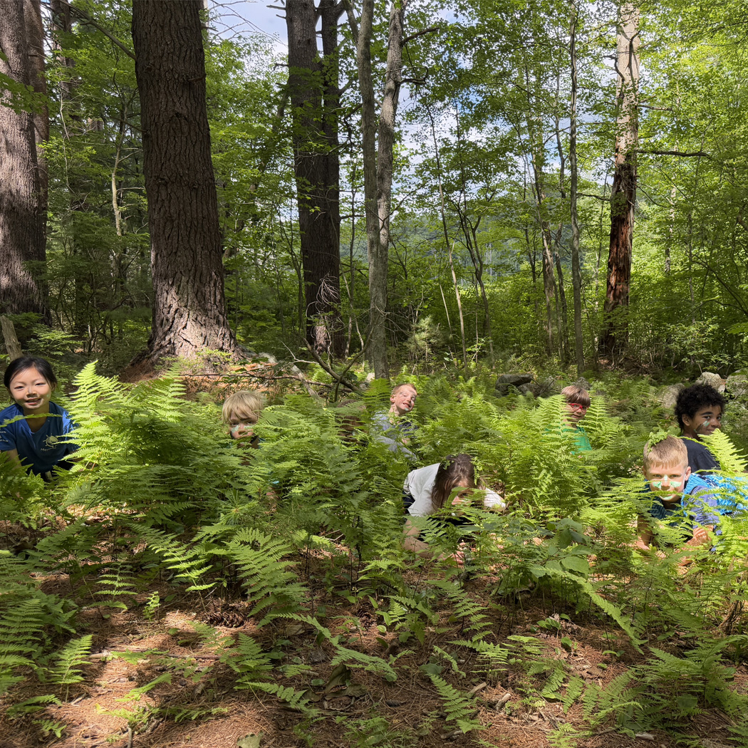 Nature School_1