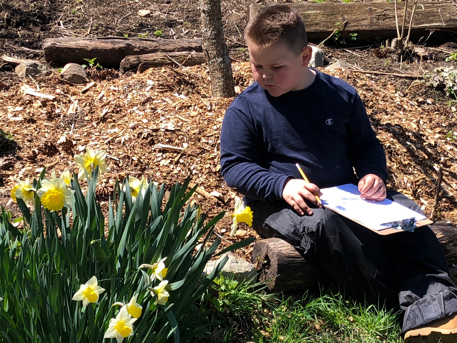 Forest School_1