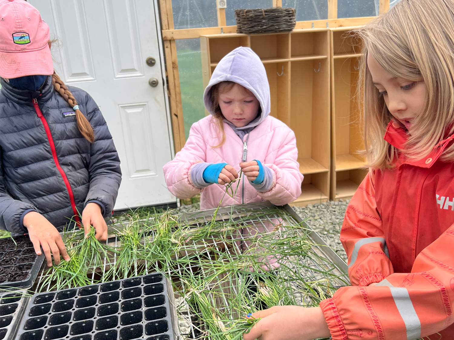 Forest School_2